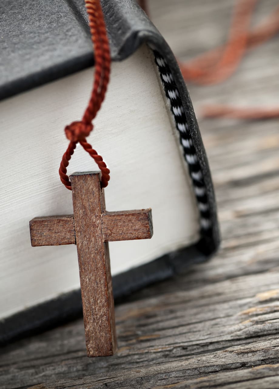 Featured image for “Somejätit kaatuivat – Sley toimii”