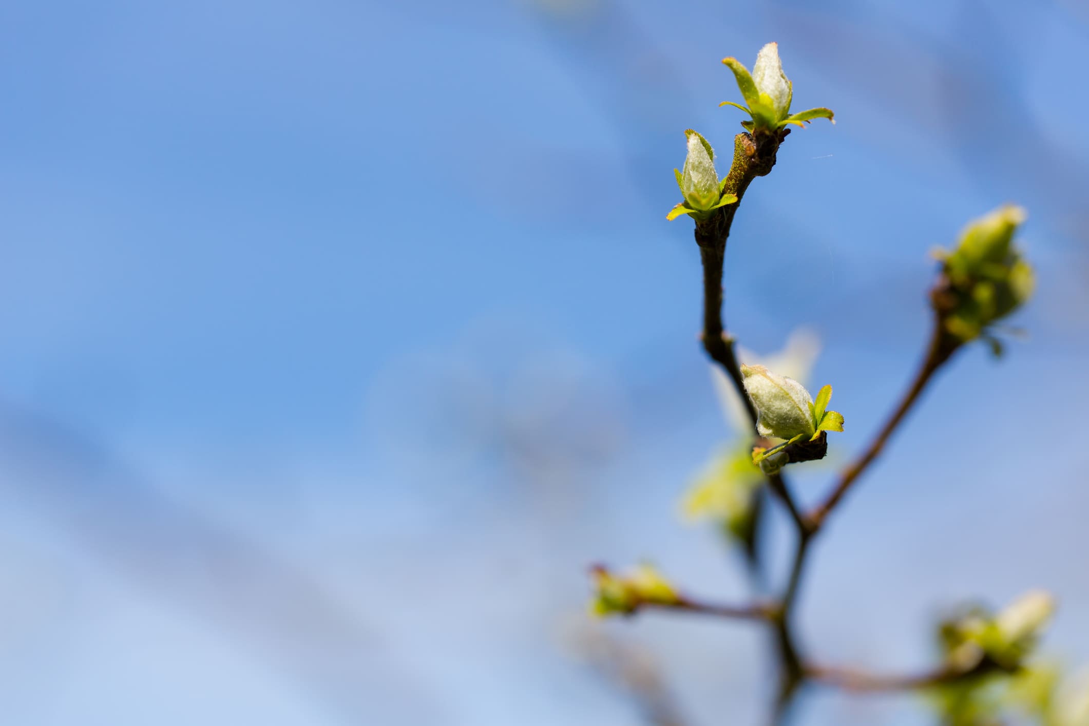 Featured image for “Hidasta elämää”