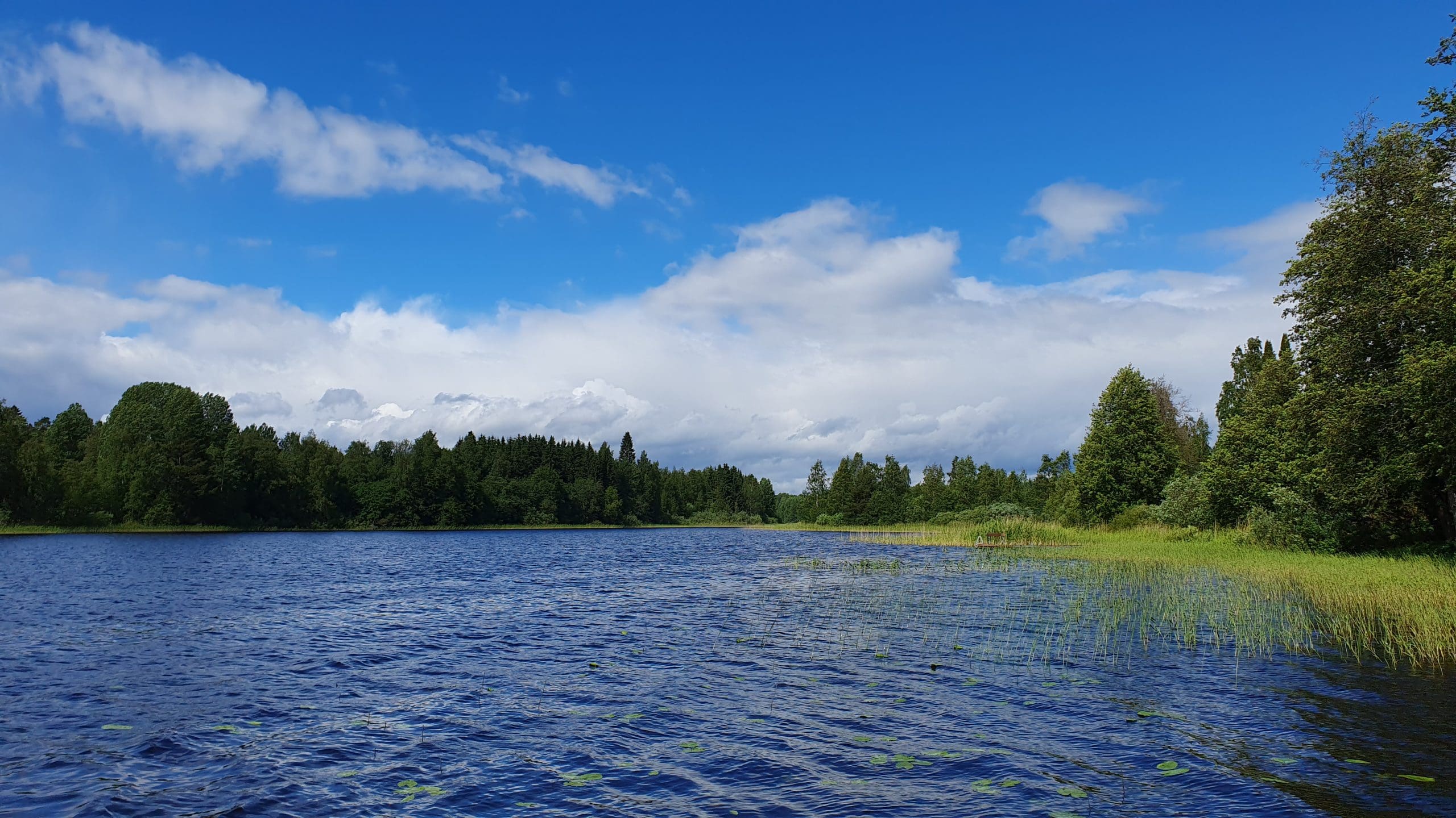 Featured image for “Kuulumisia kotimaasta”