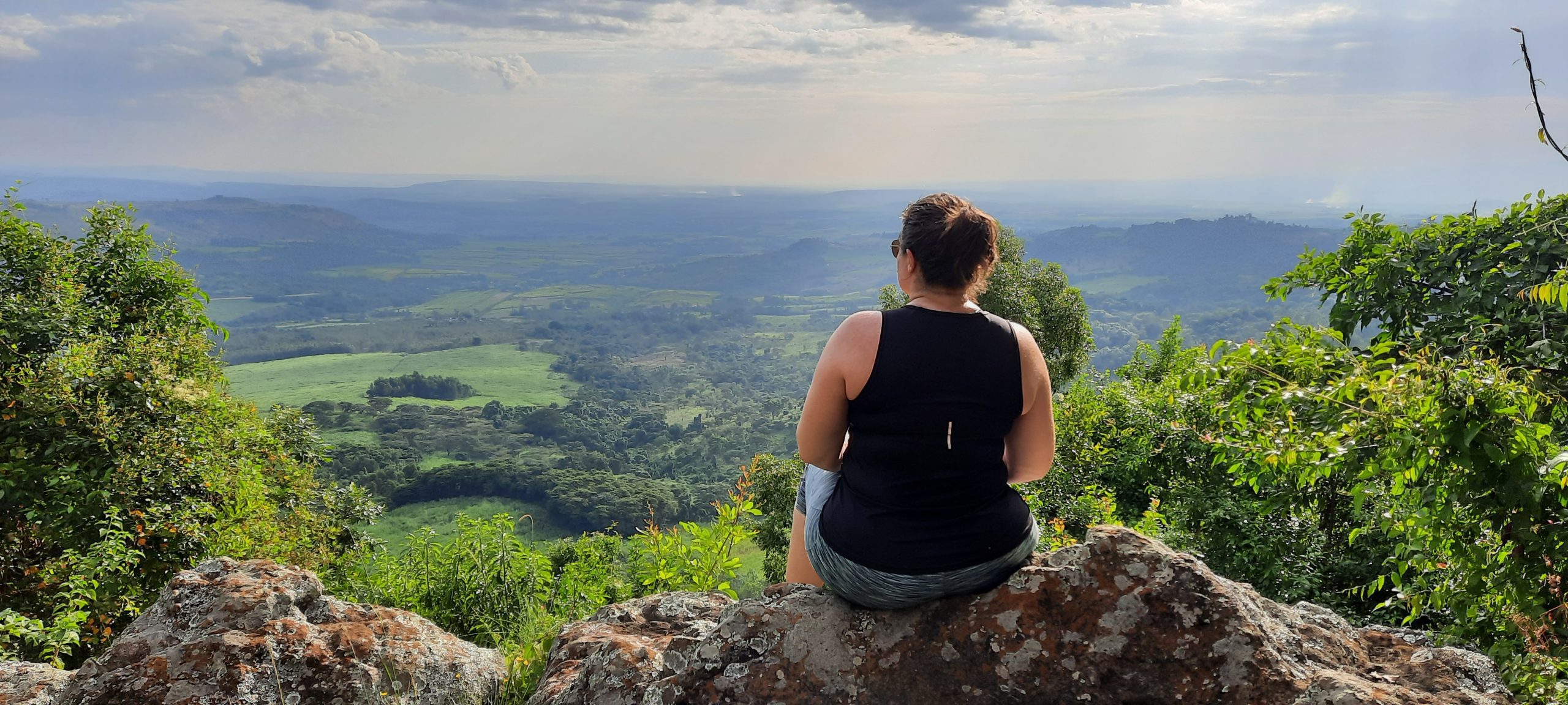 Featured image for “Syysterveiset”