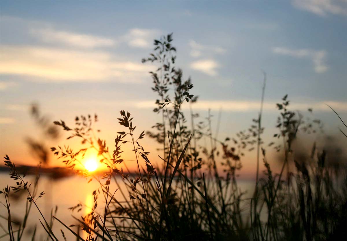 Featured image for “🔒 Mitä Raamattu opettaa taivaasta?”