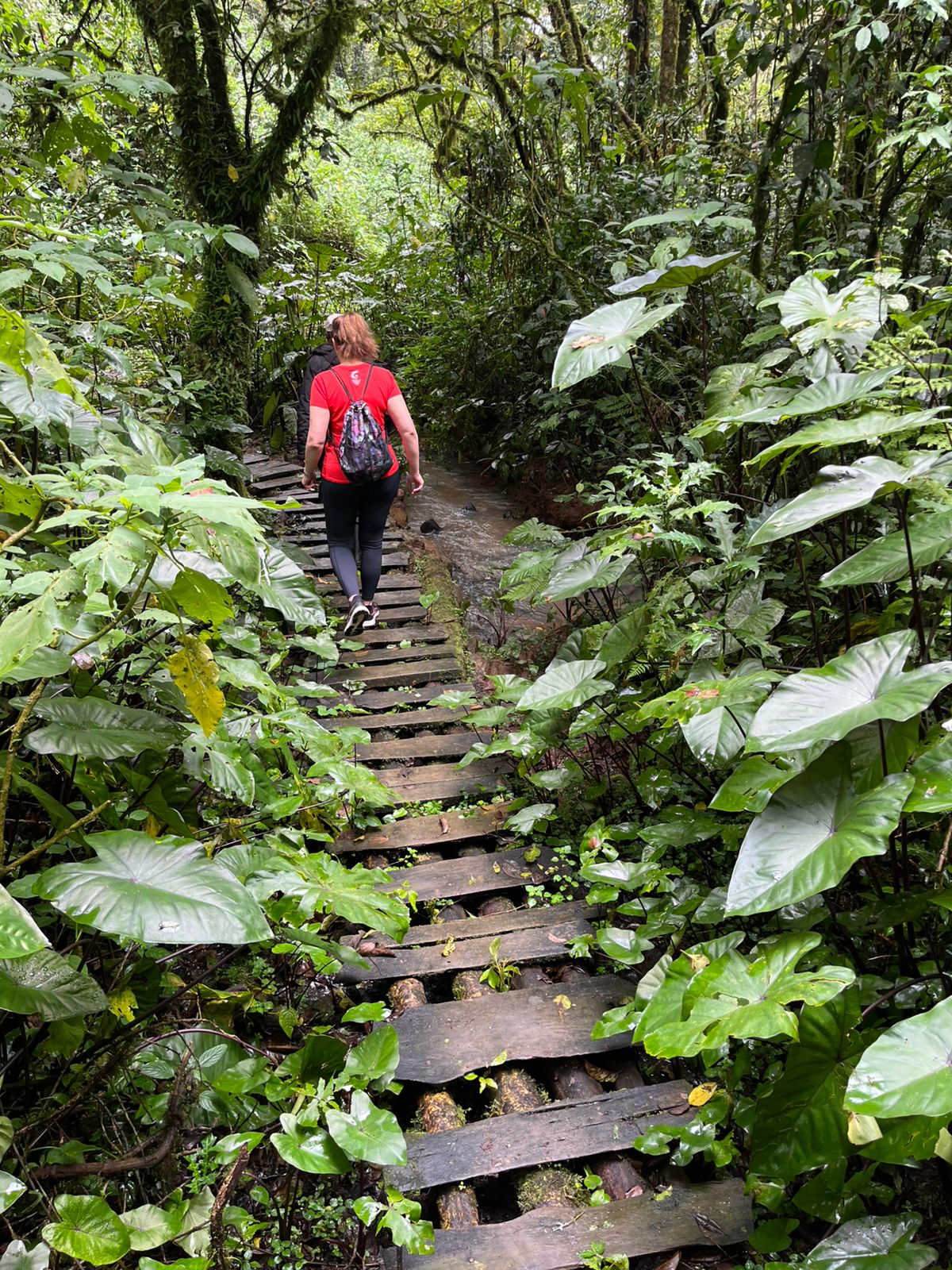 Featured image for “Katse kohti tulevaa”