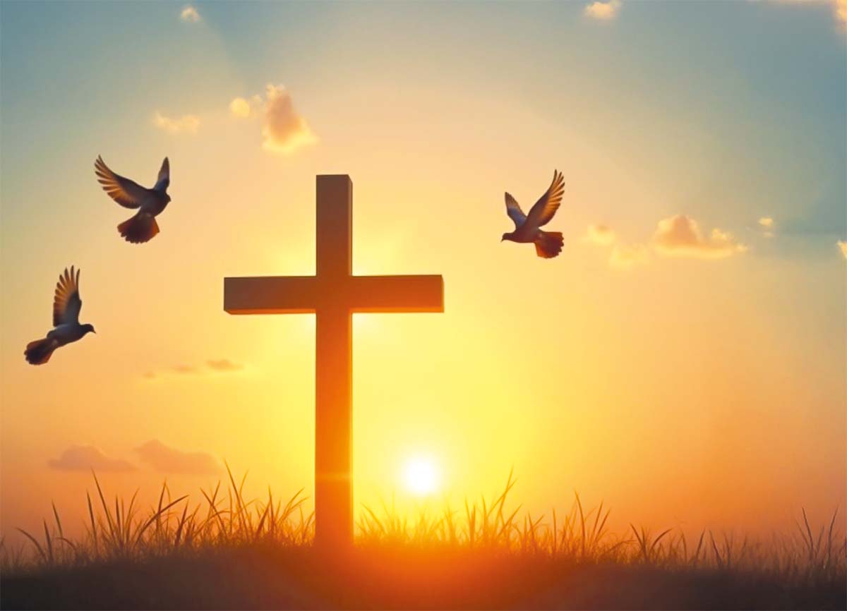 Featured image for “🔒 Vapaa, huoleton ja kutsuttu auttamaan”